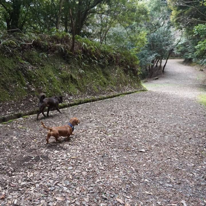 8914cc4d 2207 4a2e 816c a8dc1d7bdfe1 1524281947885