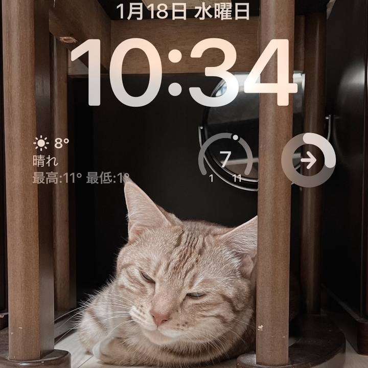 8914e82d a291 494e 8c85 fe39a4ce7664 1674005753296