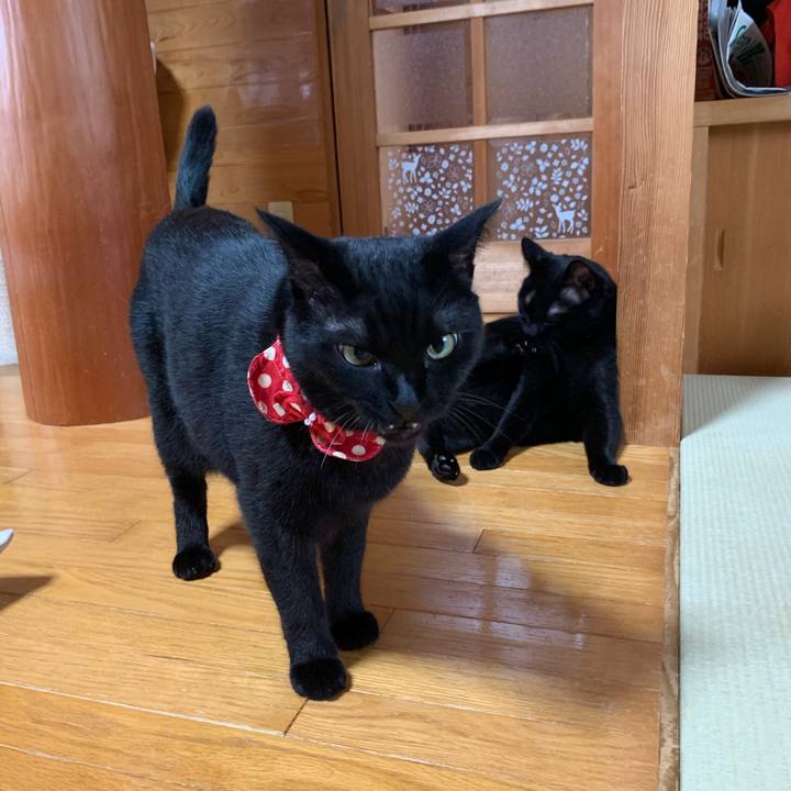 8914ef83 2a6a 4c19 89e6 2dd0c25bed1d 1566824645921