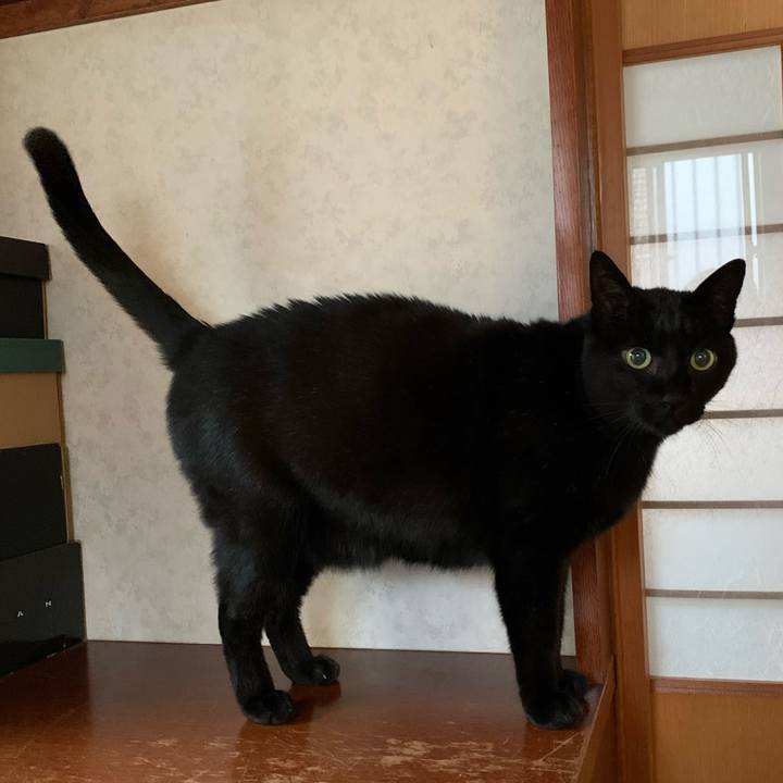 8914f791 f9fe 4218 abac beb0cf55b3b5 1579051311711