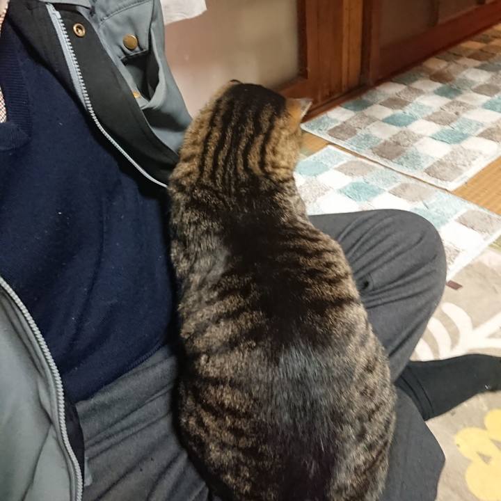 891521fb 78e1 435b 858e 401bde9a608b 1639911873611