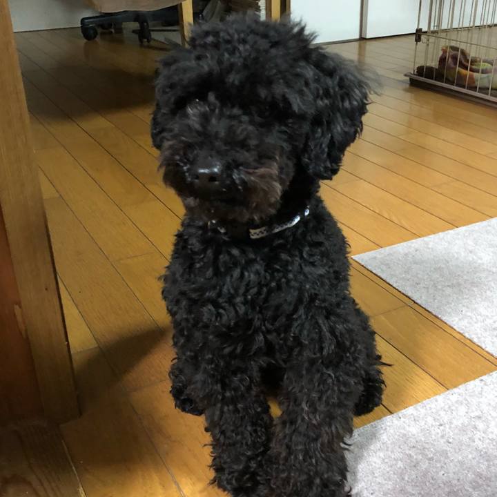 891528be bb80 43f2 8bf7 784e322619a2 1520327634404