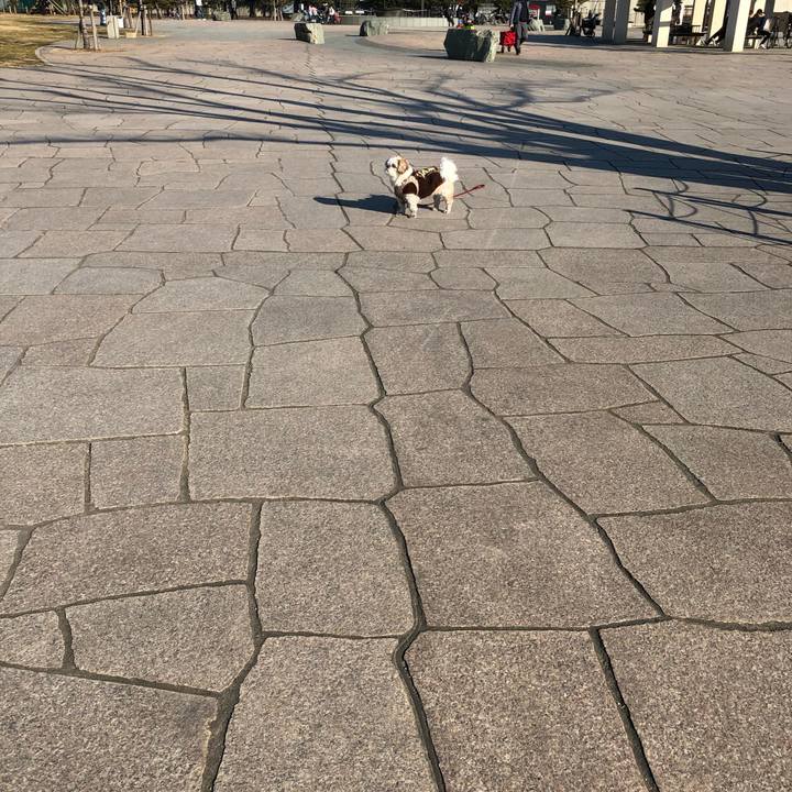 89152e7a 4b34 4821 9a45 ae6a83ae8005 1548193659815