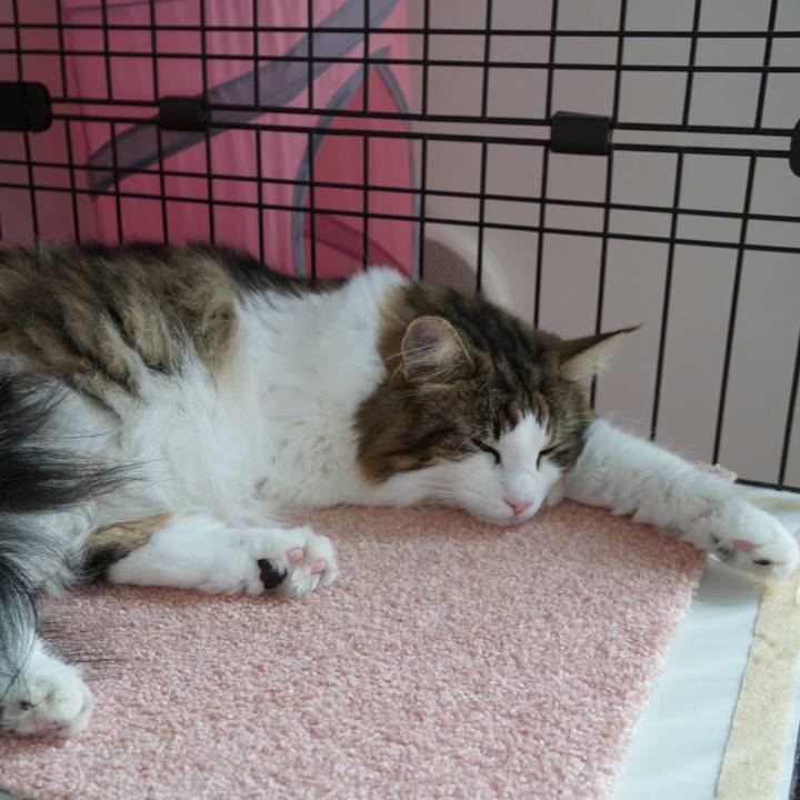 8915515f a72d 4802 92d4 78f5b4fe7b85 1567557067469