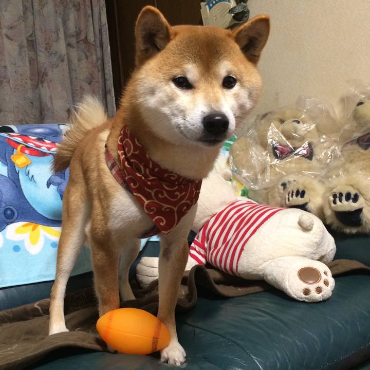 891576c1 b6a4 4922 8282 79786423c060 1518519593082