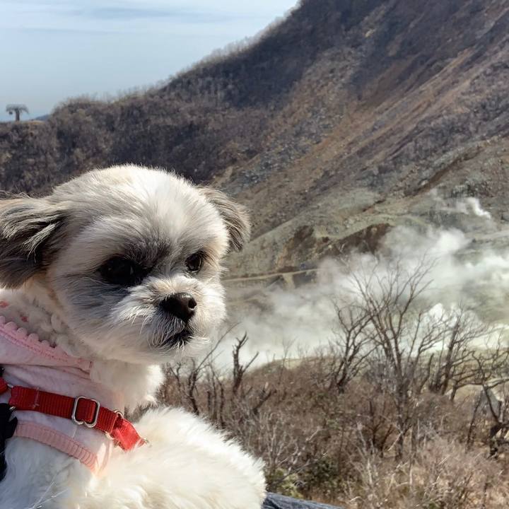 8915d369 e6df 4c0c 9971 1f5c8e53fd0f 1584319277417