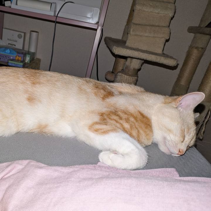 8915dbc0 f8e6 4cb2 85a7 ca704e9cd017 1694965569699