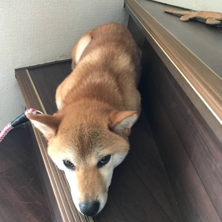 8915ff23 d84c 4fb4 ac02 e40a90d224da 1530703236689