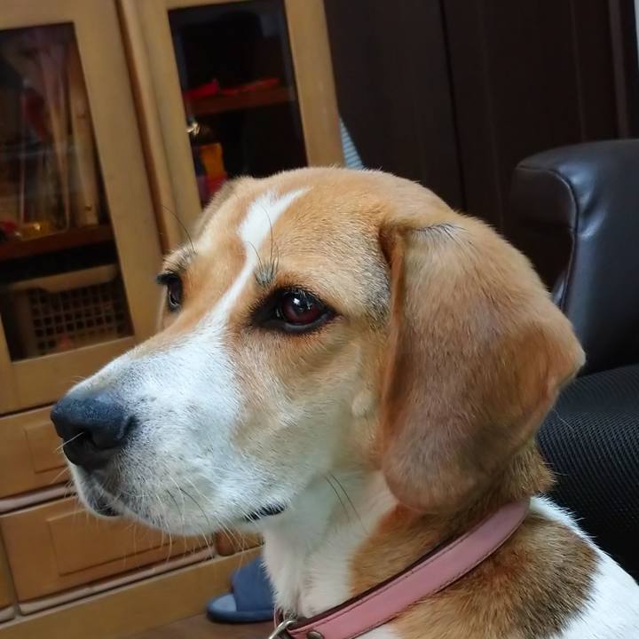 89163266 5cc5 4631 a5af c5e425c89eb8 1598097484184