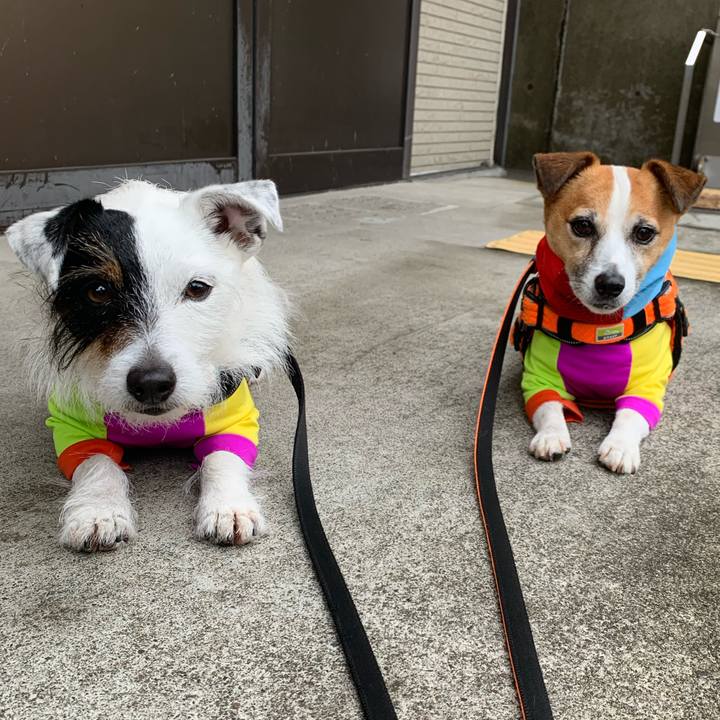 89163668 a34a 4d13 adc3 ad48fc3179bd 1618387389298