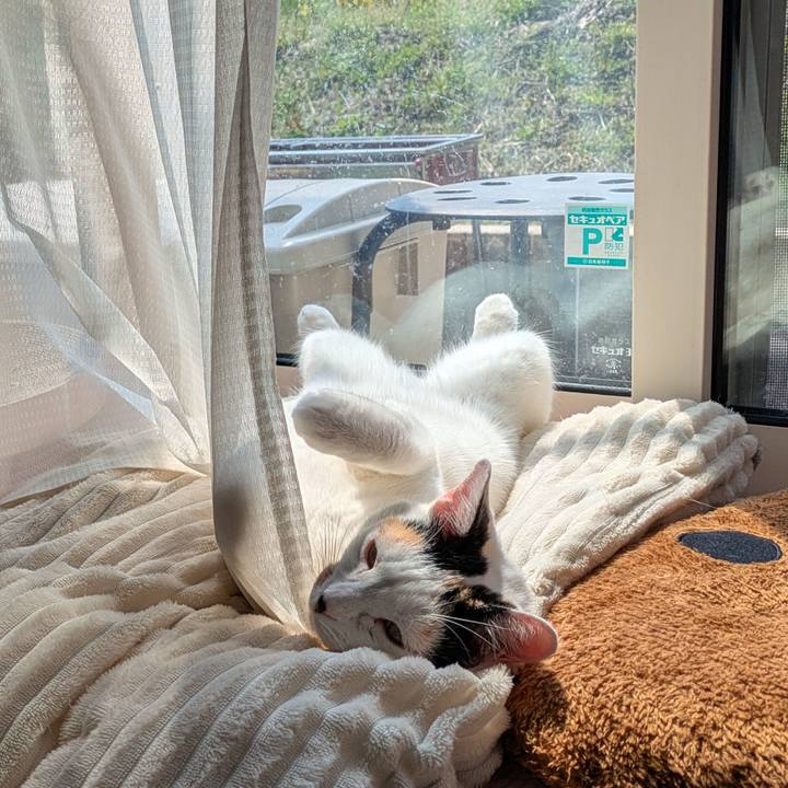 891670b8 1d7c 4579 bb7f 065aac842e50 1744852226481