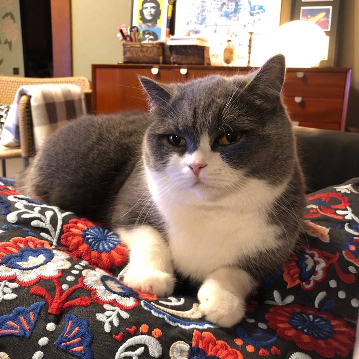 8916b68b ce8a 4056 86de 0c9348939abb 1581126464914