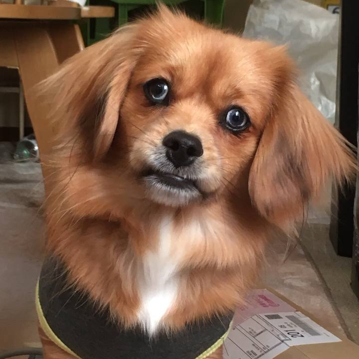 8916b917 ec50 4e11 8c38 348315e4aa00 1515279988100