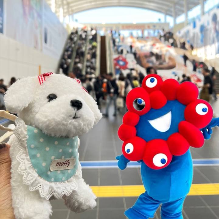 8916bb02 fd7e 416c 9435 a4c82f79a950 1759274259610