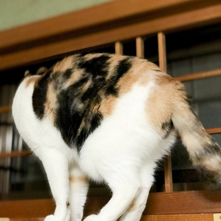 8916c6a4 7e27 4856 ae7a 59800e449123 1519654371375