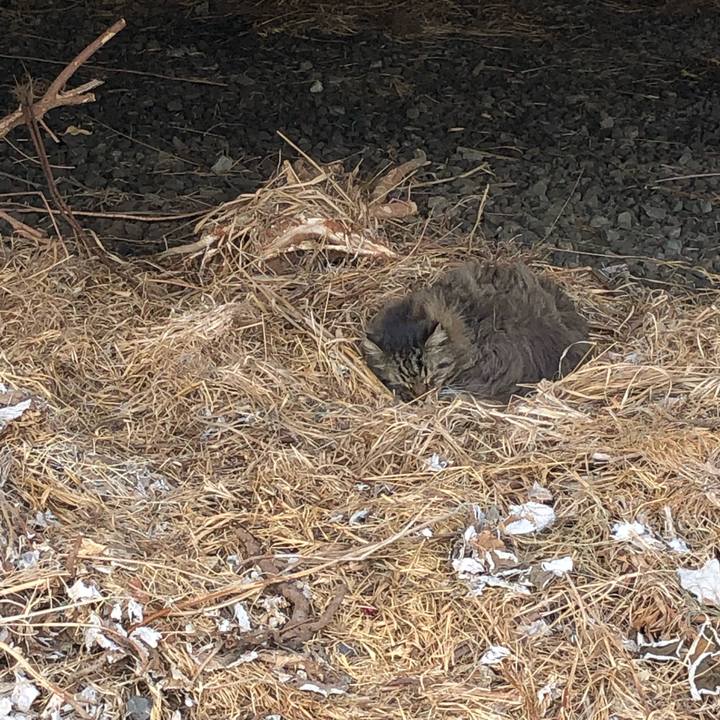 8916d6dd ba24 4e94 8e56 7baff1a97abc 1550819047955