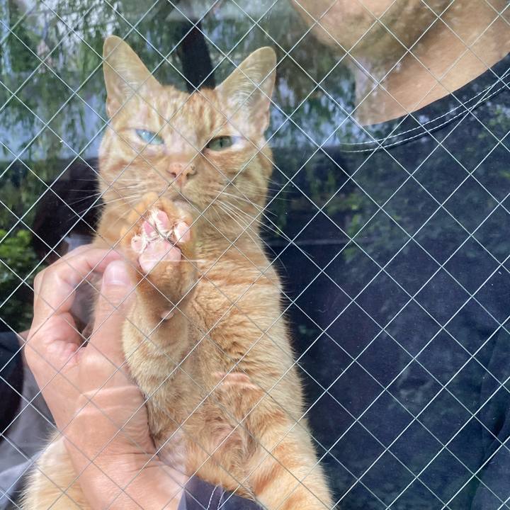 8916dcf8 e288 4825 ada0 64d5a8546d27 1654643740490