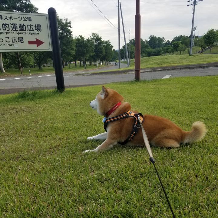 8916e8e8 a87a 4a1b 8b36 9ad85b93cace 1716366880835