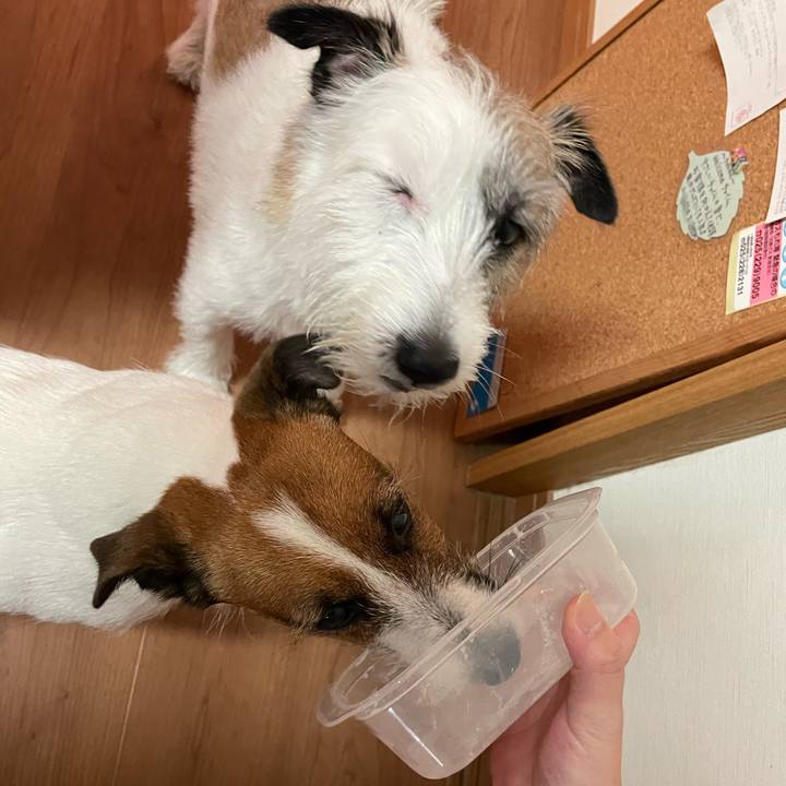 8916f44c 7420 4a64 8e49 c497bd5d9500 1691362580652