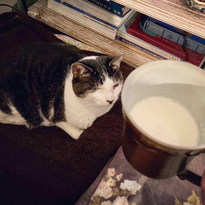 891719e8 1a1f 416e aa02 2ad8671291c5 1585578659059