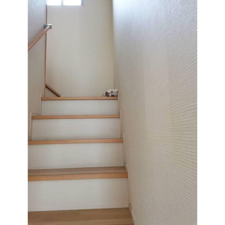 891771fe 29a8 4aea 8904 dd77f9b44708 1654831857143