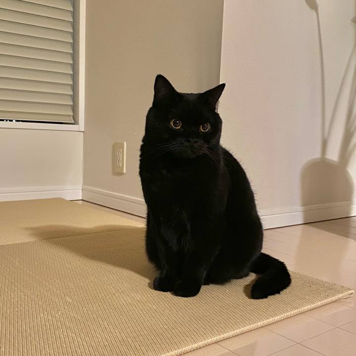 891786f8 111e 4109 bb25 9707c99bce78 1669125504485