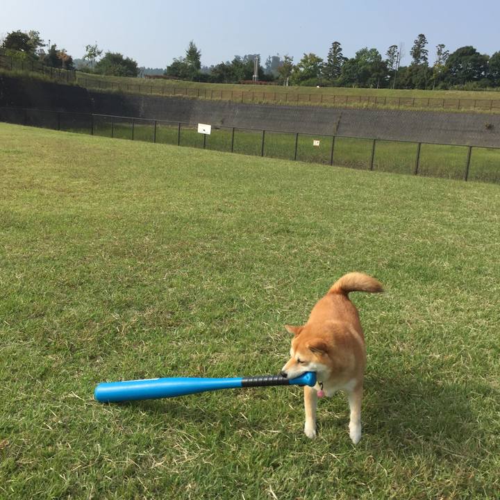 89179031 64ed 474d 88e0 ac039e741dff 1507890669494