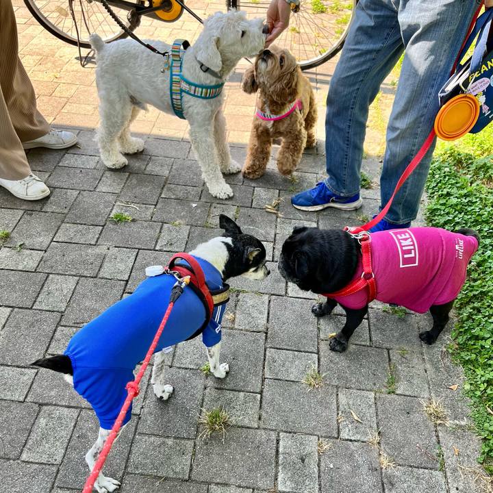 8917a496 5223 4706 a274 5955e29d81f6 1653786203181