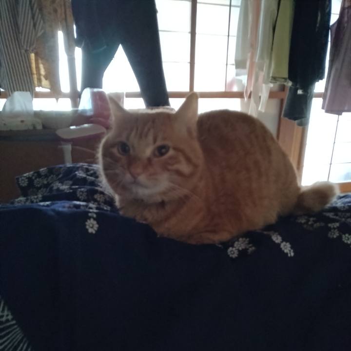 8917abec f674 4a10 93fa 1f344ebf83eb 1675896550982