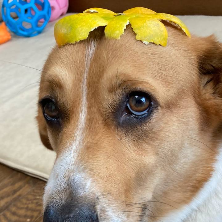 8917b9a1 3f10 41de 8fcc fa7c152586e2 1688002783765