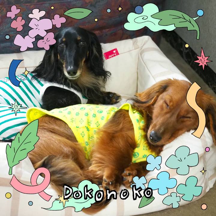 8917c28d 0f0f 4cc9 a983 416a9a2c0530 1718172557513