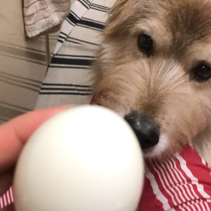 8917d82a fd1f 426e 973c e103cfb62870 1545041673548