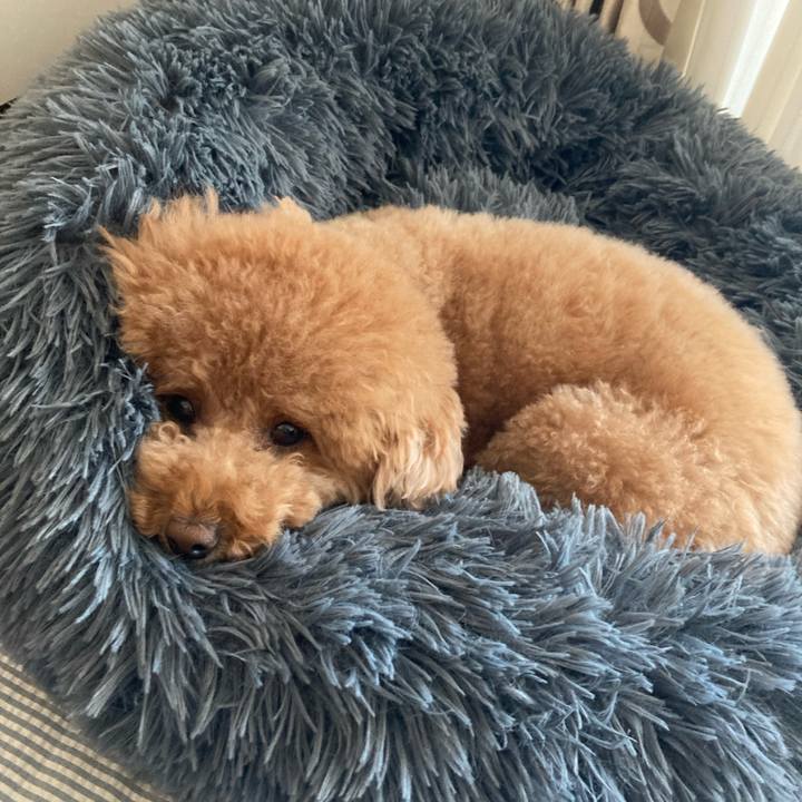 89180d44 13bf 4a7f b8b0 a2a0e705f6ac 1634623685706