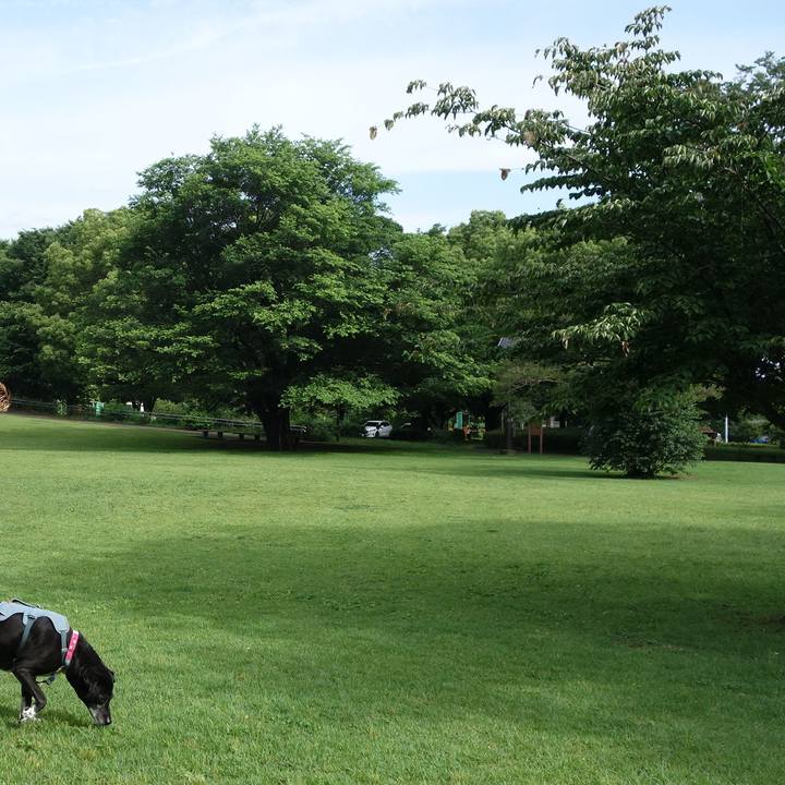 8918597a 8ca2 440f 8467 b0c5796c4d27 1749690428419