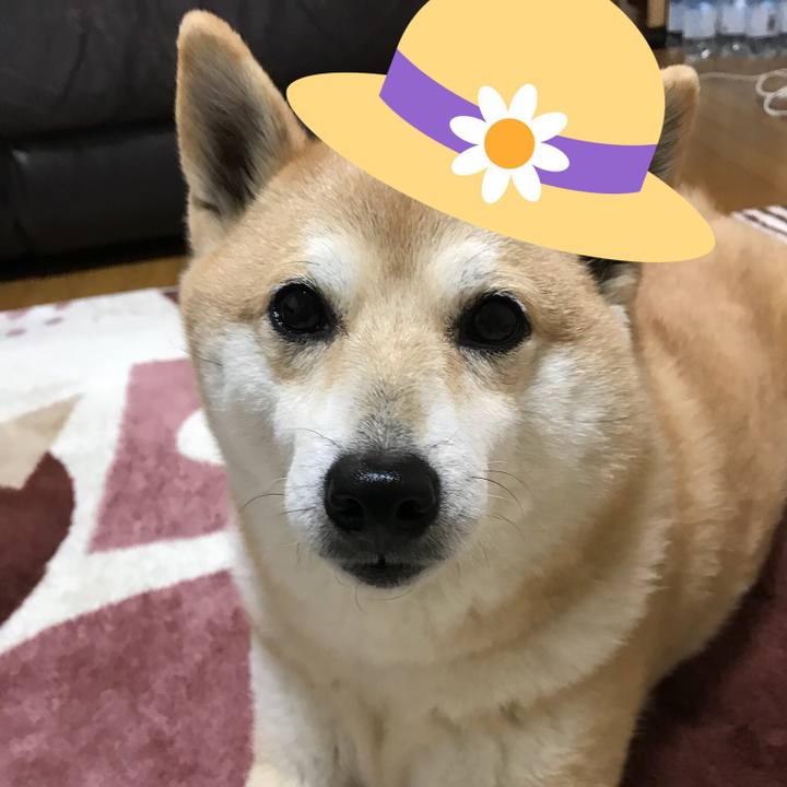 891865de bdfa 4c64 96f0 6dc8cb983aa7 1521507451237