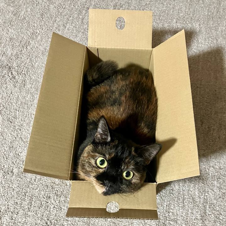 89186691 d19c 4598 b1ed 3f3aa23bea62 1766278213274