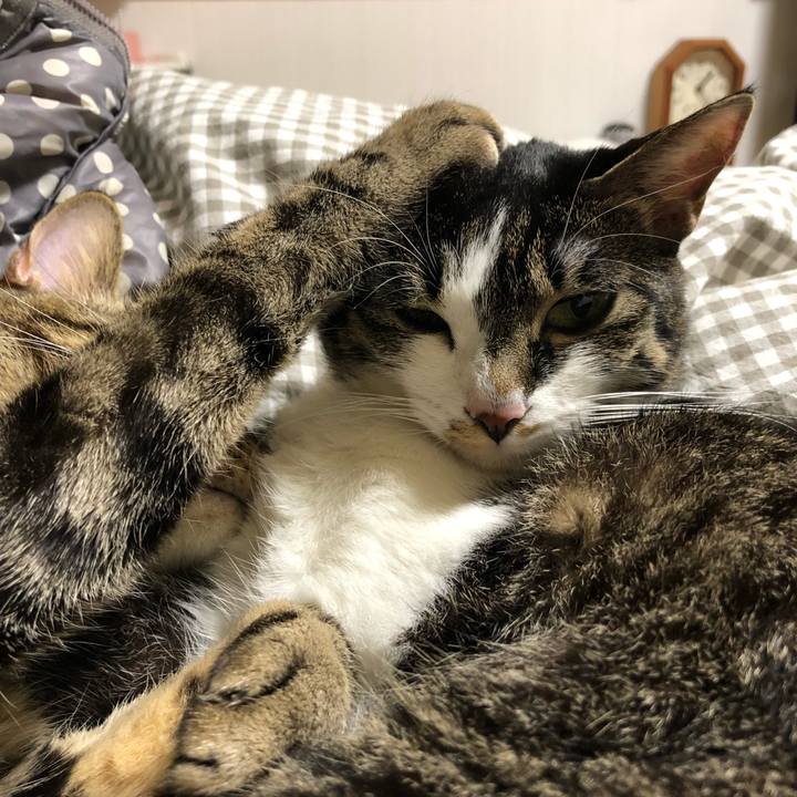 89188313 08e5 4a51 90fa 70d41c400c7f 1514752262213