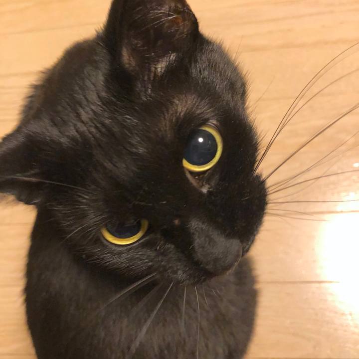 8918bd15 703b 4ab9 8548 2194398c02bb 1555765631868