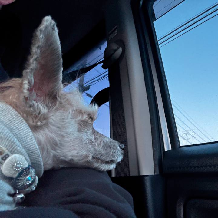 8918bdfd be36 4056 9cc6 e0a0bcadc008 1769248166902