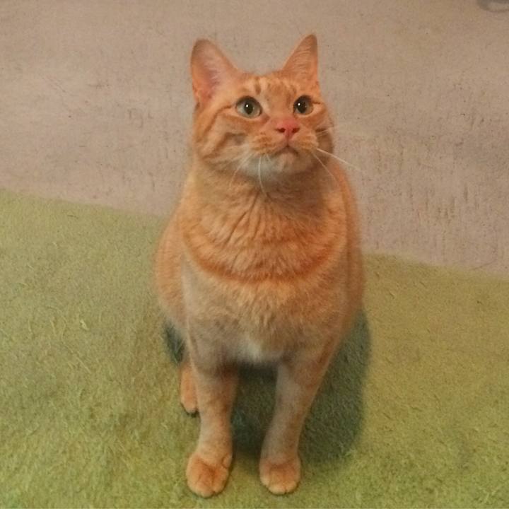 8918da05 be21 47b4 bfcc 113252f2171c 1525841298326