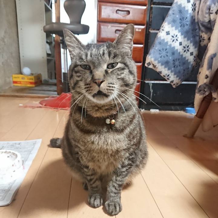 8918e3d8 3905 4f68 a825 8ee81d9291c2 1653859286893