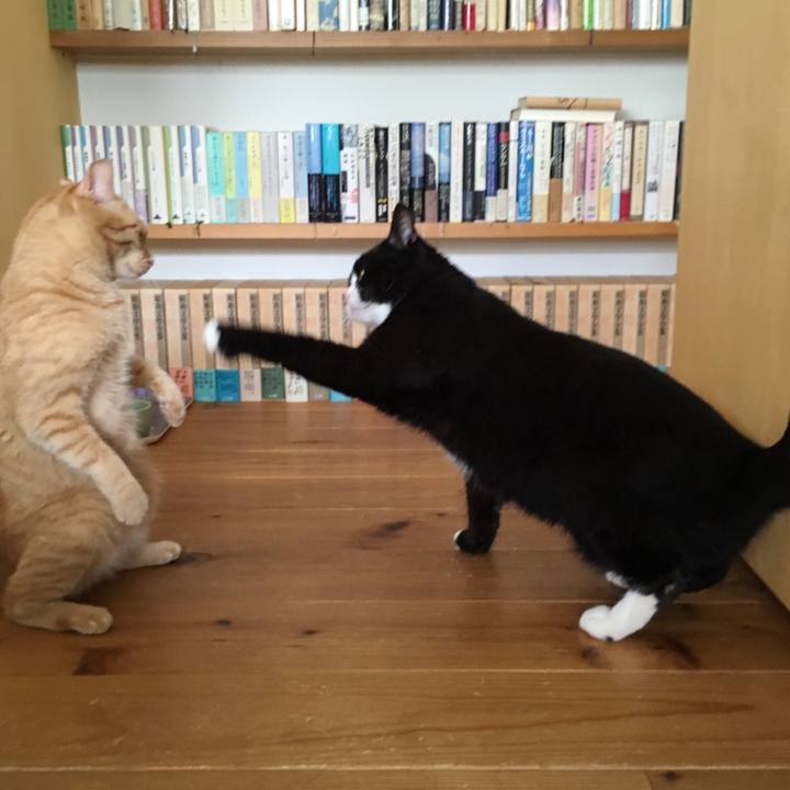 89192292 abda 4dfe a85e 4382585a6a76 1534035050195