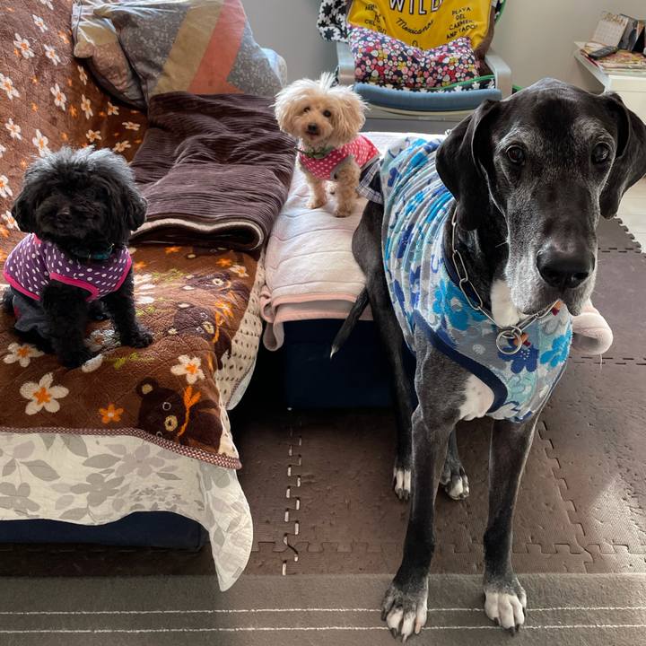 89198af9 b816 4dbf abe1 7b366c8ee2d2 1615329231876