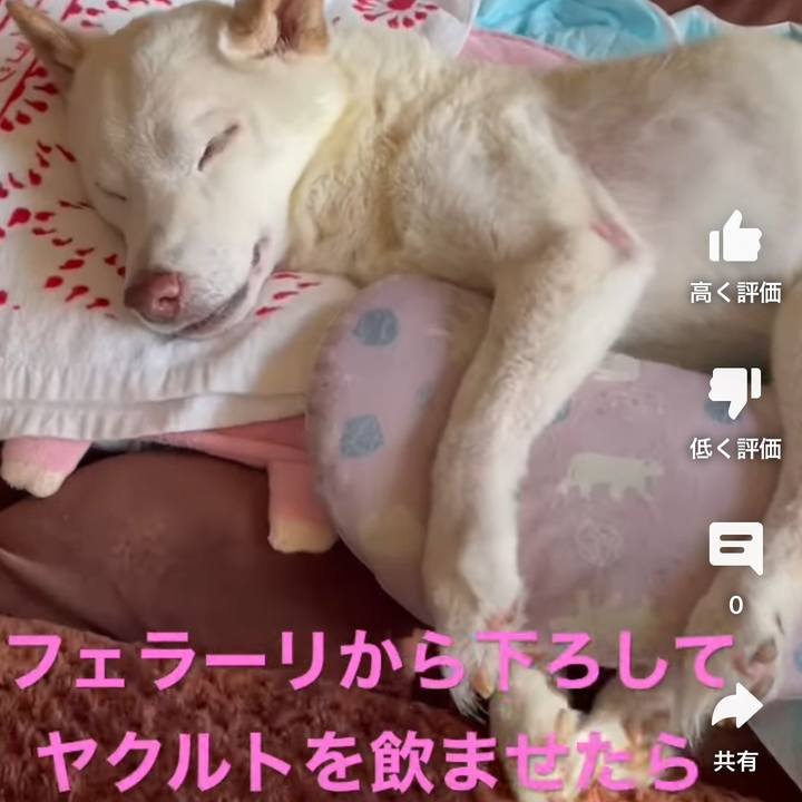 89199014 a584 4968 a88a e74ec192b344 1672892248330