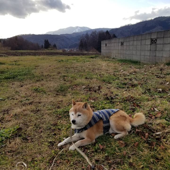 891993e7 3c58 49fb b1cf c5a9c1fbdcc9 1702446695971