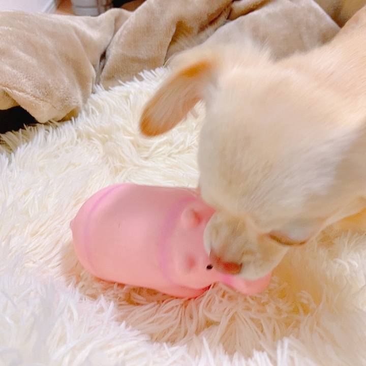 89199dde 76eb 4251 9e79 7c3fad6cefdf 1624454470040