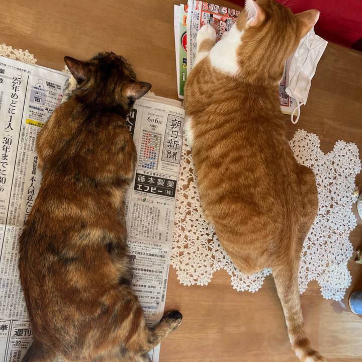 89199df5 fb00 4f20 a296 a8d867558ee1 1686011383069