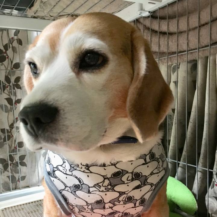 8919a50f 7ac9 4441 8554 97b1f7626982 1748228479841