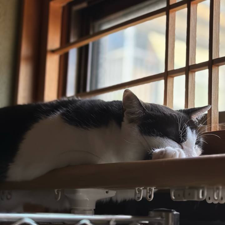 8919a7d6 d838 4a4d b402 f0f4a3a212f8 1694137944610