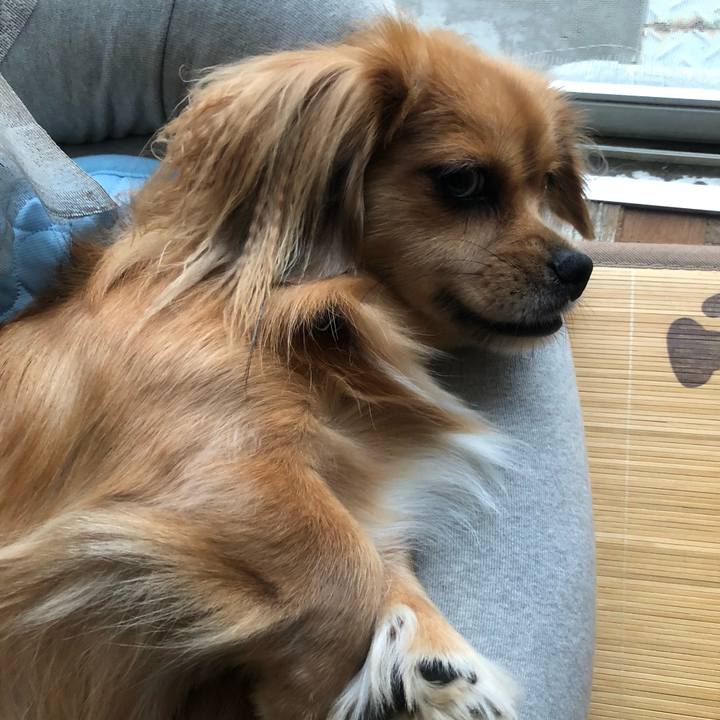 8919b2d5 44ca 4953 b5be f59b5150c8f9 1536184911800